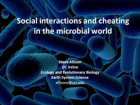 Social interactions and cheating in the microbial world