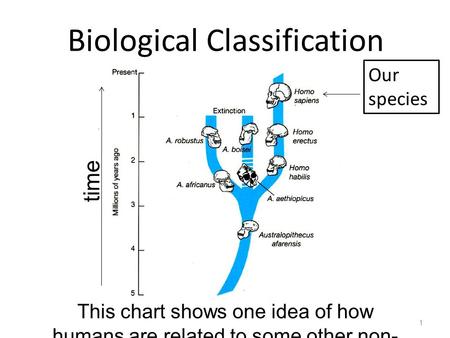 Biological Classification 1 This chart shows one idea of how humans are related to some other non- living species time Our species.