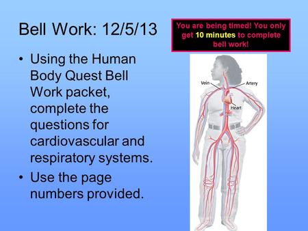 Bell Work: 12/5/13 Using the Human Body Quest Bell Work packet, complete the questions for cardiovascular and respiratory systems. Use the page numbers.