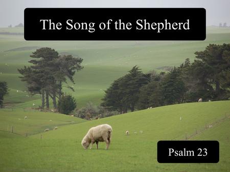 The Song of the Shepherd