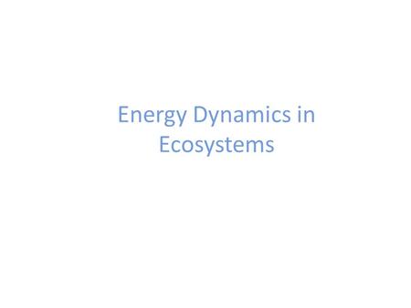 Energy Dynamics in Ecosystems. As you go UP the food chain, only 10% energy is transferred up to the next level.