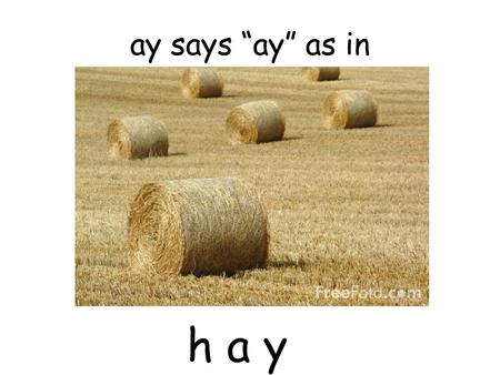 Ay says “ay” as in h a y. ai says “ai” as in r a i n.