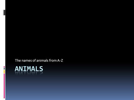 The names of animals from A-Z a is for anteater  Anteaters eats ants.