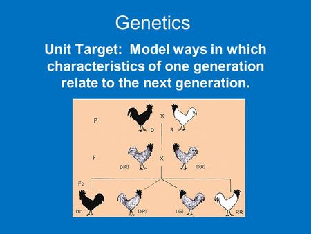 Genetics Unit Target: Model ways in which characteristics of one generation relate to the next generation.
