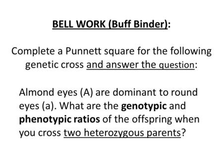 BELL WORK (Buff Binder): Complete a Punnett square for the following genetic cross and answer the question: Almond eyes (A) are dominant to round eyes.
