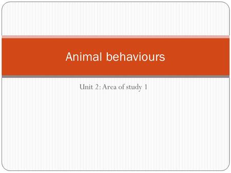 Unit 2: Area of study 1 Animal behaviours. Criminal Penguins Write down all the behaviours that you saw in the video Try to group these behaviours into.