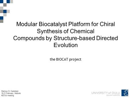 Marinus G. Casteleijn 10-11 February, Helsinki KETJU meeting Modular Biocatalyst Platform for Chiral Synthesis of Chemical Compounds by Structure-based.