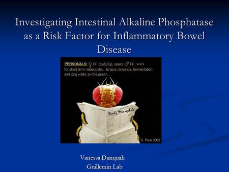 Investigating Intestinal Alkaline Phosphatase as a Risk Factor for Inflammatory Bowel Disease Vanessa Danquah Guillemin Lab Guillemin Lab.