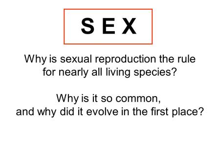 S E X Why is sexual reproduction the rule