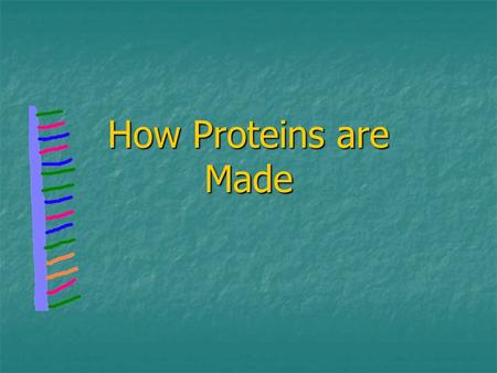 How Proteins are Made. How RNA differs from DNA 1st- RNA consists of a single strand of nucleotides instead of the 2 strands found in DNA RNADNA.