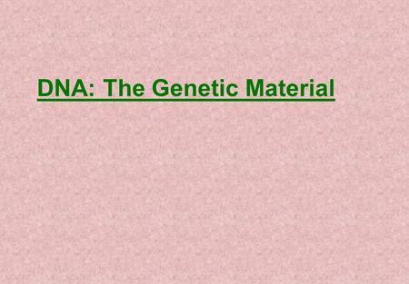 DNA: The Genetic Material. Orientation  On the top rail, the strand is said to be oriented 5′ to 3′.  The strand on the bottom runs in the opposite.