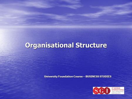 Organisational Structure University Foundation Course – BUSINESS STUDIES.