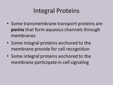 Integral Proteins Some transmembrane transport proteins are porins that form aqueous channels through membranes Some integral proteins anchored to the.