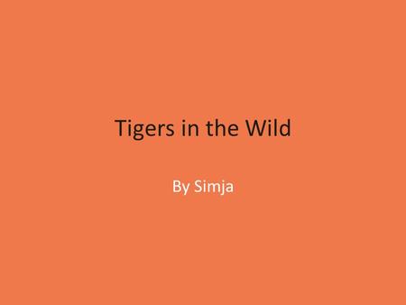 Tigers in the Wild By Simja. Table of Contents What Do Tigers Look Like?…………………………..…..2 What Do Tigers Eat?………………………………………...3 Where Do Tigers Live?........................................4.