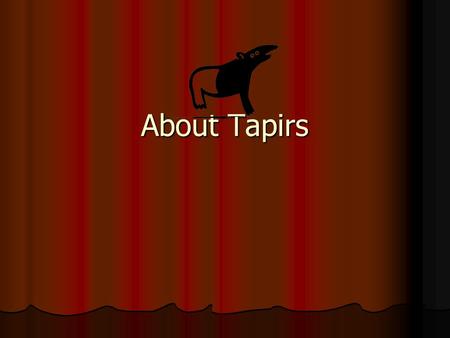 About Tapirs. What they look like Tapirs look like pigs with trunks but they are related to horses and rhinos! Tapirs look like pigs with trunks but they.