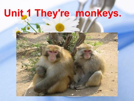 Unit 1 They′re monkeys.. What′s this ? tiger What are they ?