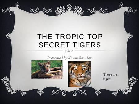 THE TROPIC TOP SECRET TIGERS Presented by Kevan Rowden Those are tigers.