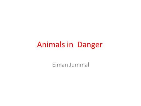 Animals in Danger Eiman Jummal.