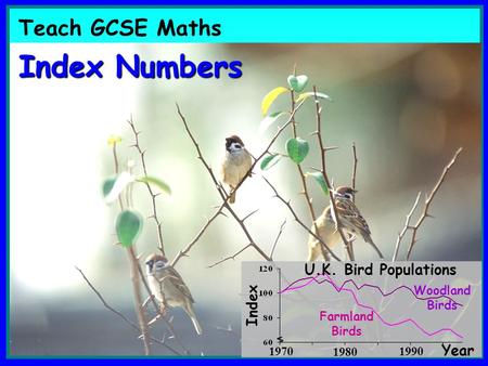 Teach GCSE Maths Index Numbers Index Farmland Birds Woodland Birds U.K. Bird Populations Year 19701990 1980.