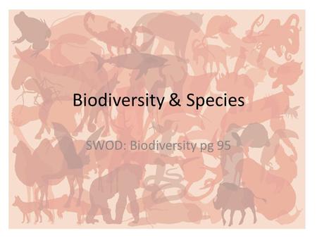 Biodiversity & Species SWOD: Biodiversity pg 95. Biodiversity The number of different species in an area