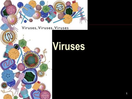 Viruses 4/23/2017.
