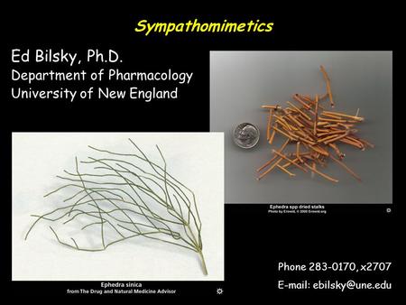 Sympathomimetics Ed Bilsky, Ph.D. Department of Pharmacology University of New England Phone 283-0170, x2707
