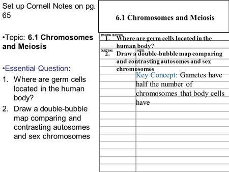 6.1 Chromosomes and Meiosis Set up Cornell Notes on pg. 65 Topic: 6.1 Chromosomes and Meiosis Essential Question: 1.Where are germ cells located in the.