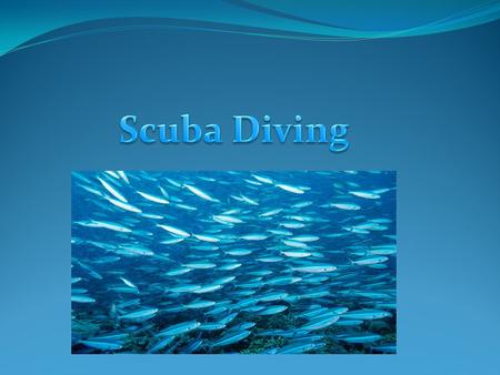 Breathing Under Water When you are scuba diving you are usually wearing a oxygen tank to help you breath underwater until the air runs out and you return.