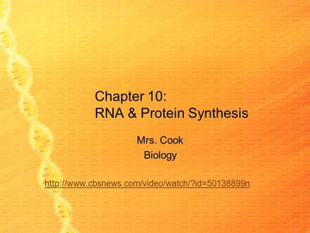 Chapter 10: RNA & Protein Synthesis Mrs. Cook Biology