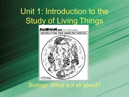 Unit 1: Introduction to the Study of Living Things Biology: What is it all about?