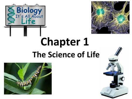 Chapter 1 The Science of Life. 1.1 The World of Biology Biology- the study of life – Bio = life – ology = study of.