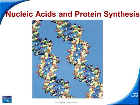 Slide 1 of 37 Copyright Pearson Prentice Hall Nucleic Acids and Protein Synthesis.