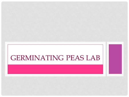 GERMINATING PEAS LAB. LAB SET UP Look on the back of your lab. Each lab table will be doing one lab set up. Each group needs: 1 beaker 3 test tubes 5.