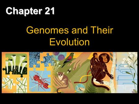 Chapter 21 Genomes and Their Evolution. Copyright © 2008 Pearson Education Inc., publishing as Pearson Benjamin Cummings Overview: Reading the Leaves.