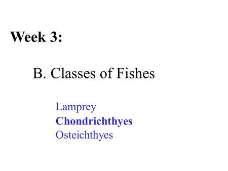 Week 3: B. Classes of Fishes Lamprey Chondrichthyes Osteichthyes.