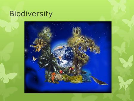 Biodiversity. Trophic Levels 10% Rule Net Product Productivity.