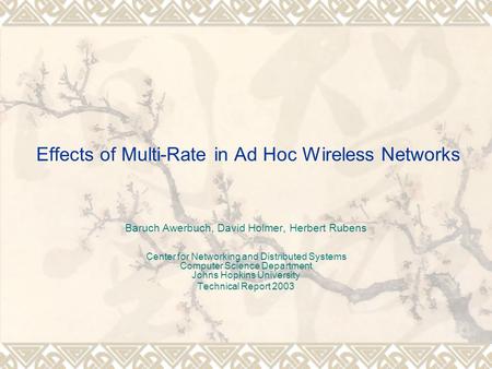 Effects of Multi-Rate in Ad Hoc Wireless Networks