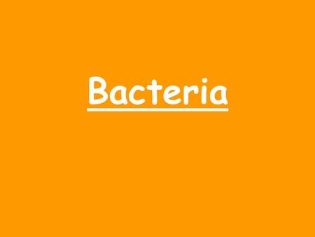Bacteria. Characteristics of Bacteria. Smallest and simplest living thing Have no organelles, including no nucleus Genetic material = simple circular.