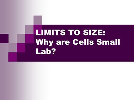 LIMITS TO SIZE: Why are Cells Small Lab?