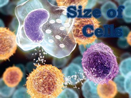 Why are cells so small? Think, Pair & Share 2  A cells size or shape is limited by: ◦ The distance materials must travel inside the cell. ◦ The number.