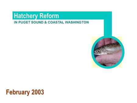 IN PUGET SOUND & COASTAL WASHINGTON Hatchery Reform February 2003.