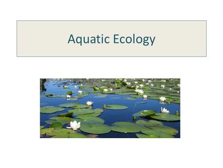 Aquatic Ecology. Environmental Factors for Aquatic Life Light penetration pH (acidity / alkalinity) Salinity (salt content) Dissolved Oxygen (DO) Mineral.