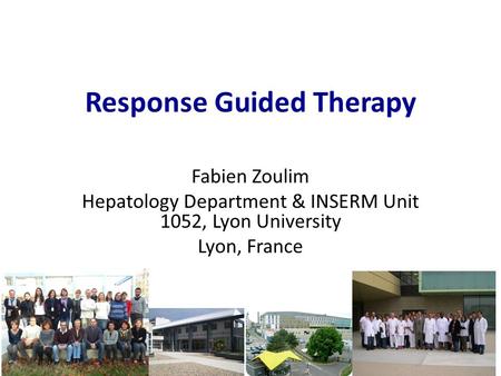 Response Guided Therapy Fabien Zoulim Hepatology Department & INSERM Unit 1052, Lyon University Lyon, France.