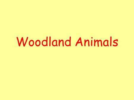 Woodland Animals. Fox Foxes eat birds and other small animals Baby foxes are called kits or cubs. Foxes are mainly nocturnal. Their tail is always tipped.