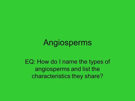 Angiosperms EQ: How do I name the types of angiosperms and list the characteristics they share?