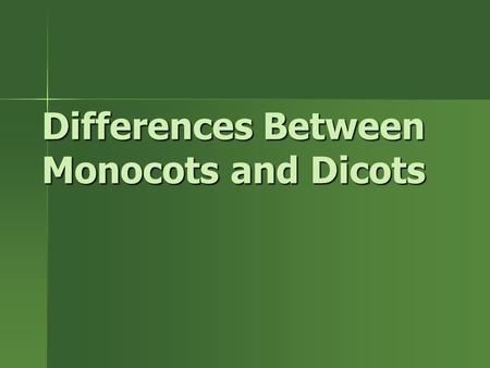 Differences Between Monocots and Dicots