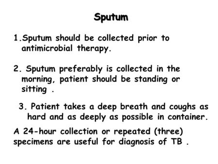 Sputum 1.Sputum should be collected prior to antimicrobial therapy. 2. Sputum preferably is collected in the morning, patient should be standing or sitting.