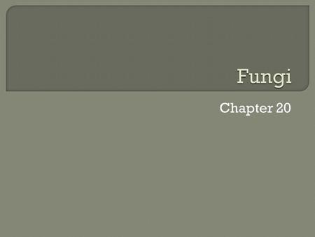Chapter 20. Objectives  Identify the basic characteristics of fungi  Explain the role of fungi as decomposers and how this role affects the flow of.