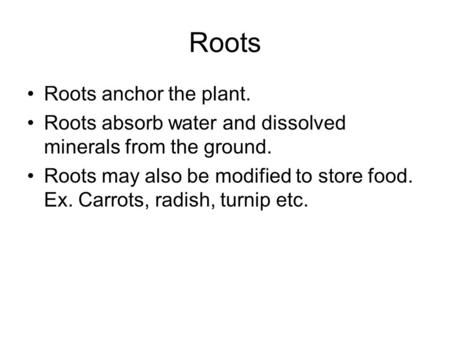 Roots Roots anchor the plant. Roots absorb water and dissolved minerals from the ground. Roots may also be modified to store food. Ex. Carrots, radish,