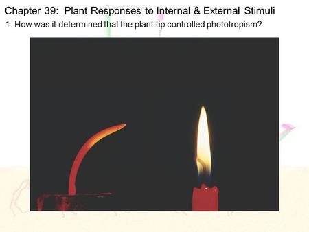 Chapter 39: Plant Responses to Internal & External Stimuli